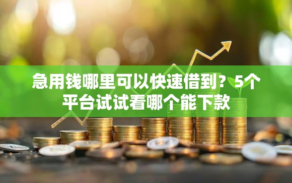 急用钱哪里可以快速借到?5个平台试试看哪个能下款 急用钱哪里可以快速借到?5个平台试试看哪个能下款