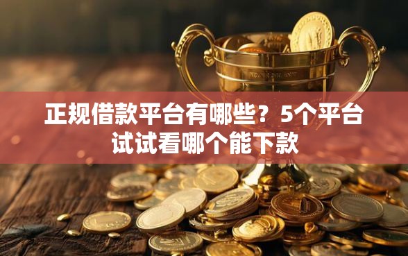 正规借款平台有哪些？5个平台试试看哪个能下款