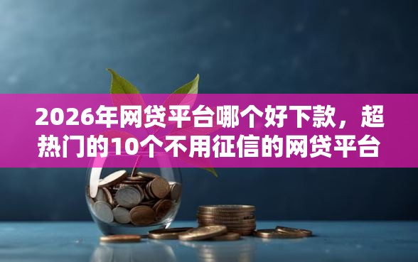 2026年网贷平台哪个好下款，超热门的10个不用征信的网贷平台推荐