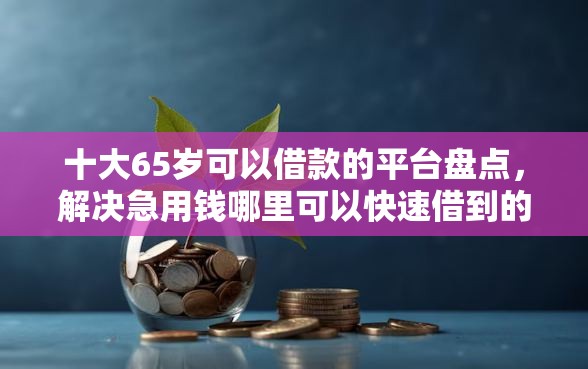 十大65岁可以借款的平台盘点，解决急用钱哪里可以快速借到的问题
