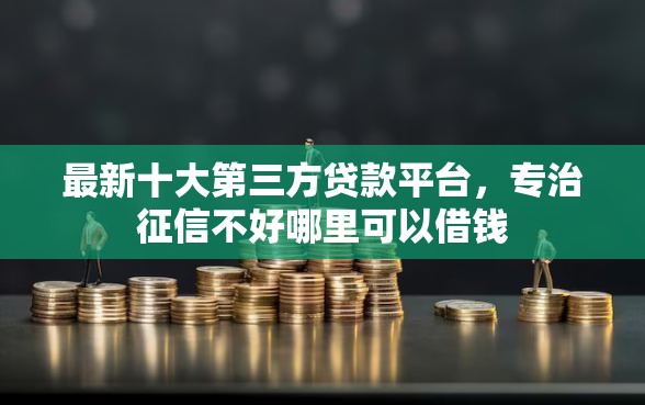 最新十大第三方贷款平台，专治征信不好哪里可以借钱
