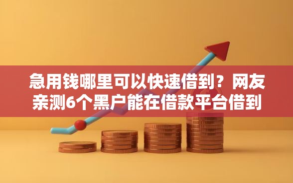 急用钱哪里可以快速借到?网友亲测6个黑户能在借款平台借到钱盘点 急用钱哪里可以快速借到?网友亲测6个黑户能在借款平台借到钱盘点