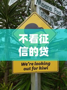 不看征信的贷款平台？看看这5个不上征信的网贷平台怎么样