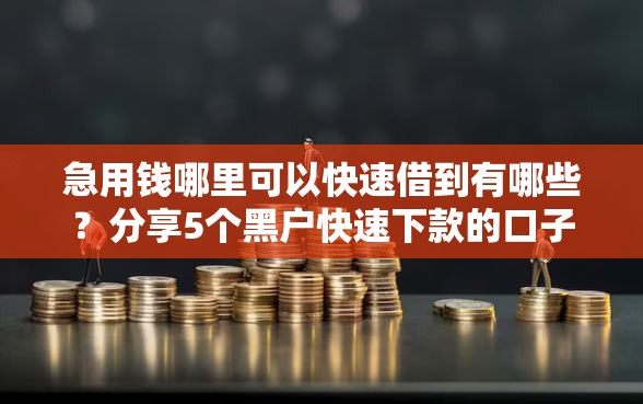 急用钱哪里可以快速借到有哪些?分享5个黑户快速下款的口子 急用钱哪里可以快速借到有哪些?分享5个黑户快速下款的口子
