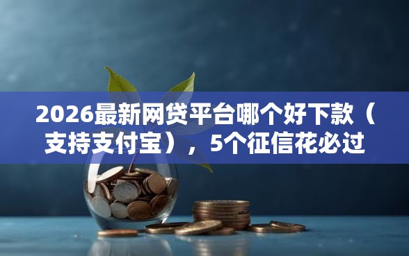 2026最新网贷平台哪个好下款（支持支付宝），5个征信花必过的平台无私分享