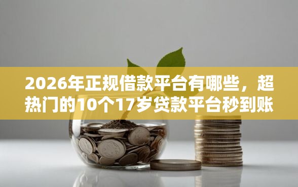 2026年正规借款平台有哪些，超热门的10个17岁贷款平台秒到账推荐