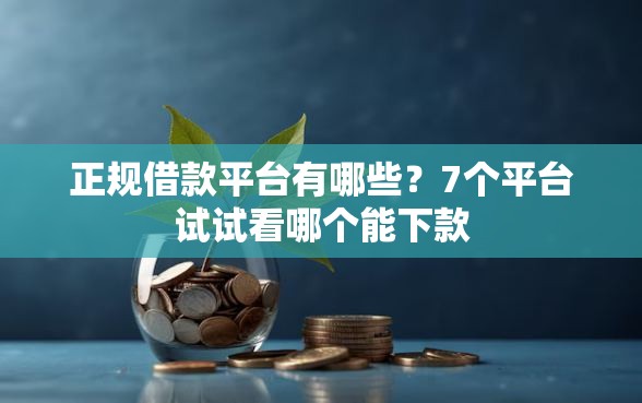 正规借款平台有哪些？7个平台试试看哪个能下款
