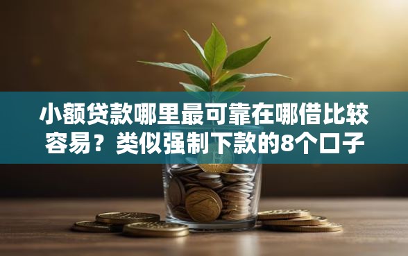 小额贷款哪里最可靠在哪借比较容易？类似强制下款的8个口子参考