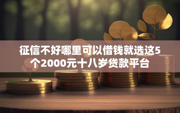 征信不好哪里可以借钱就选这5个2000元十八岁贷款平台