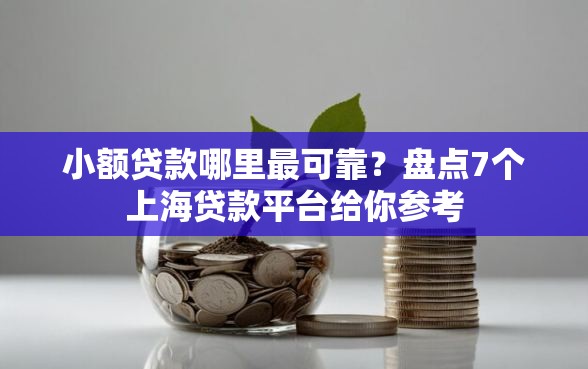 小额贷款哪里最可靠？盘点7个上海贷款平台给你参考