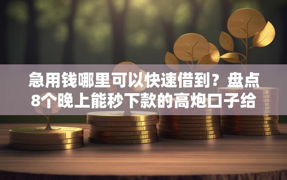 急用钱哪里可以快速借到？盘点8个晚上能秒下款的高炮口子给你参考