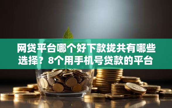 网贷平台哪个好下款拢共有哪些选择？8个用手机号贷款的平台详解
