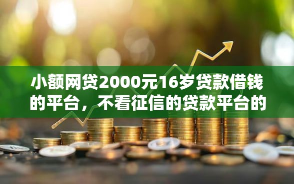 小额网贷2000元16岁贷款借钱的平台,不看征信的贷款平台的6个平台介绍 小额网贷2000元16岁贷款借钱的平台,不看征信的贷款平台的6个平台介绍