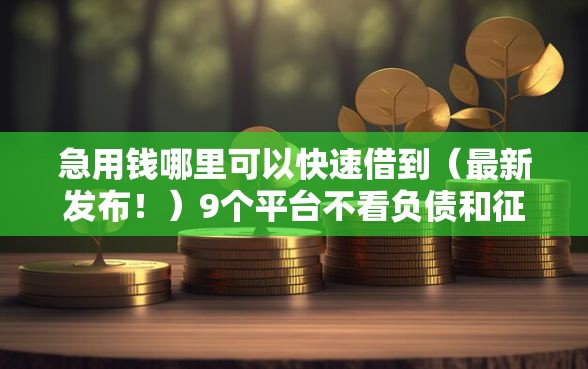 急用钱哪里可以快速借到（最新发布！）9个平台不看负债和征信可以借到钱