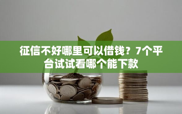征信不好哪里可以借钱？7个平台试试看哪个能下款