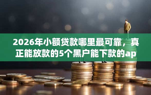2026年小额贷款哪里最可靠，真正能放款的5个黑户能下款的app推荐