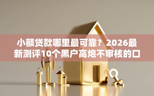 小额贷款哪里最可靠?2026最新测评10个黑户高炮不审核的口子 小额贷款哪里最可靠?2026最新测评10个黑户高炮不审核的口子