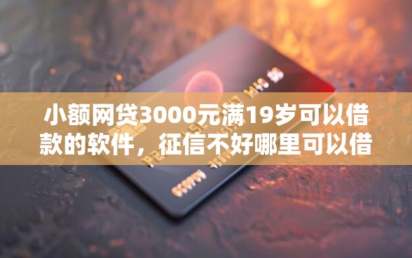 小额网贷3000元满19岁可以借款的软件，征信不好哪里可以借钱的6个平台介绍