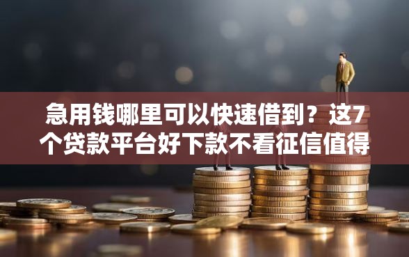 急用钱哪里可以快速借到？这7个贷款平台好下款不看征信值得一试