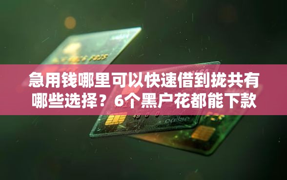 急用钱哪里可以快速借到拢共有哪些选择?6个黑户花都能下款的平台啊详解 急用钱哪里可以快速借到拢共有哪些选择?6个黑户花都能下款的平台啊详解