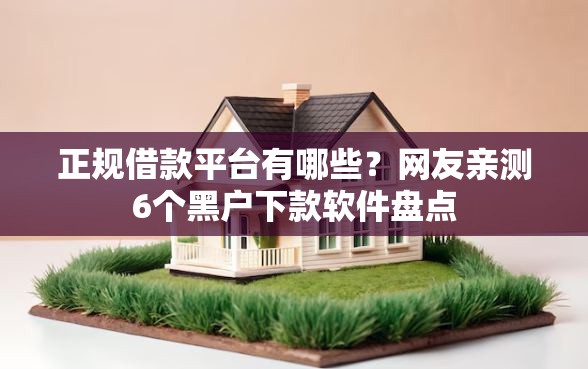 正规借款平台有哪些？网友亲测6个黑户下款软件盘点