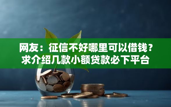 网友：征信不好哪里可以借钱？求介绍几款小额贷款必下平台