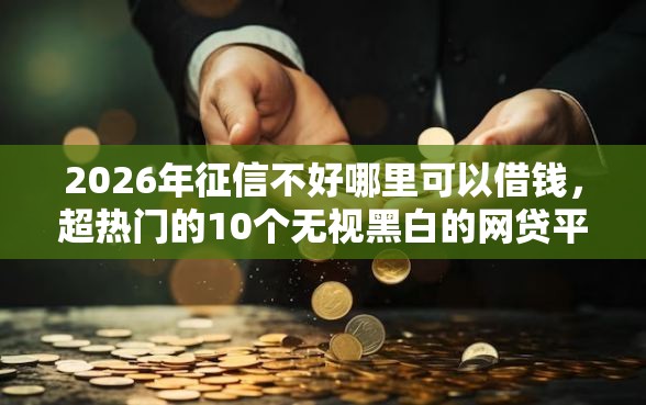 2026年征信不好哪里可以借钱，超热门的10个无视黑白的网贷平台推荐