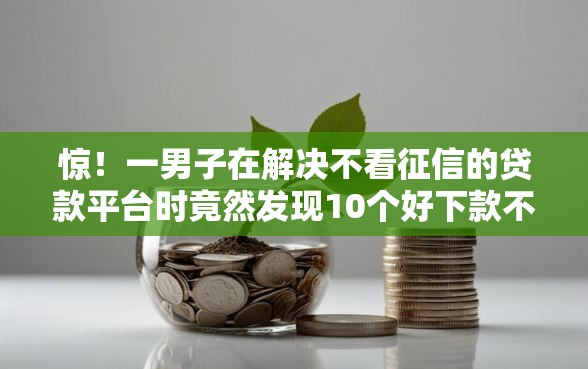 惊！一男子在解决不看征信的贷款平台时竟然发现10个好下款不看征信的网贷平台，事后分享了出来
