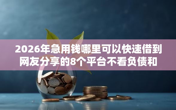 2026年急用钱哪里可以快速借到网友分享的8个平台不看负债和征信可以借到钱我觉得不错！