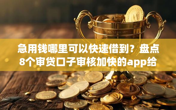 急用钱哪里可以快速借到?盘点8个审贷口子审核加快的app给你参考 急用钱哪里可以快速借到?盘点8个审贷口子审核加快的app给你参考