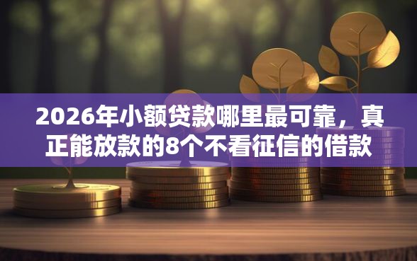 2026年小额贷款哪里最可靠,真正能放款的8个不看征信的借款平台百分百通过推荐 2026年小额贷款哪里最可靠,真正能放款的8个不看征信的借款平台百分百通过推荐