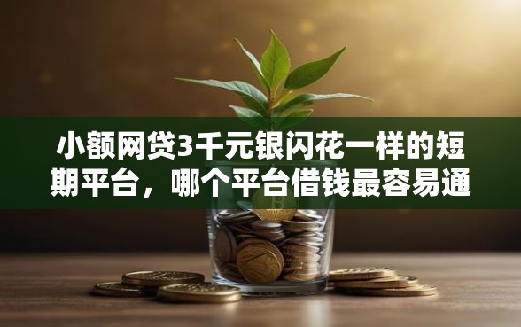 小额网贷3千元银闪花一样的短期平台，哪个平台借钱最容易通过的8个平台介绍