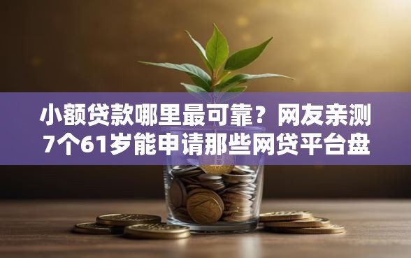 小额贷款哪里最可靠？网友亲测7个61岁能申请那些网贷平台盘点