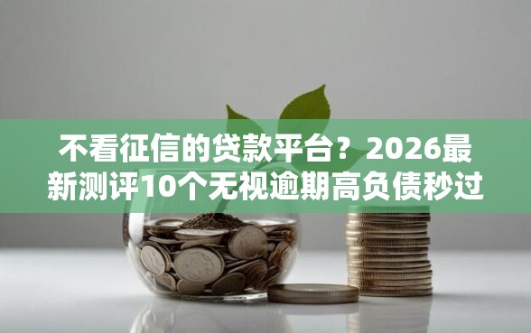 不看征信的贷款平台？2026最新测评10个无视逾期高负债秒过口子