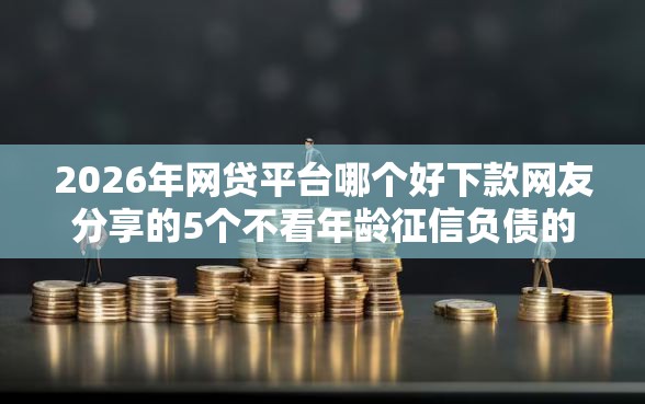 2026年网贷平台哪个好下款网友分享的5个不看年龄征信负债的软件我觉得不错! 2026年网贷平台哪个好下款网友分享的5个不看年龄征信负债的软件我觉得不错!