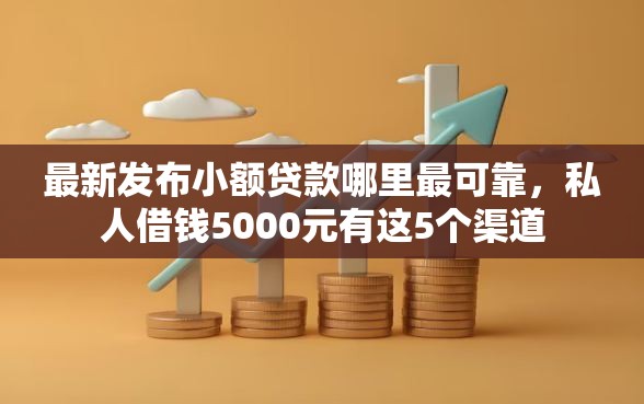 最新发布小额贷款哪里最可靠，私人借钱5000元有这5个渠道