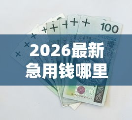 2026最新急用钱哪里可以快速借到，总结十个黑口子！