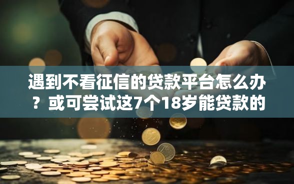 遇到不看征信的贷款平台怎么办？或可尝试这7个18岁能贷款的平台