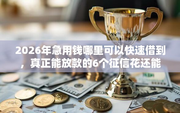 2026年急用钱哪里可以快速借到，真正能放款的6个征信花还能下款的平台推荐