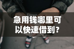 急用钱哪里可以快速借到？2026最新测评10个最早的网贷平台