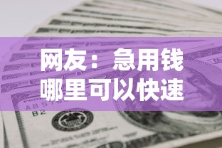 网友：急用钱哪里可以快速借到？求介绍几款被执行人下款口子