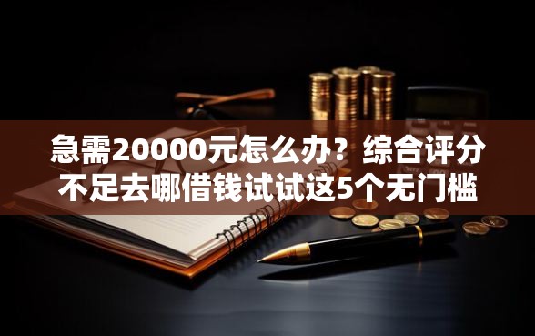 急需20000元怎么办？综合评分不足去哪借钱试试这5个无门槛平台
