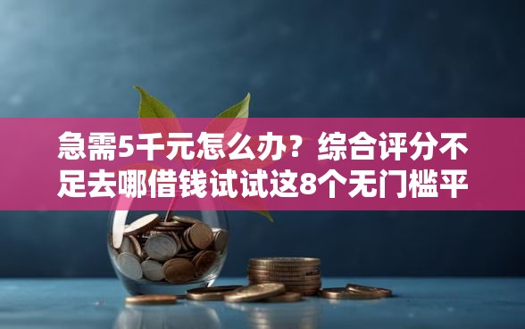 急需5千元怎么办？综合评分不足去哪借钱试试这8个无门槛平台