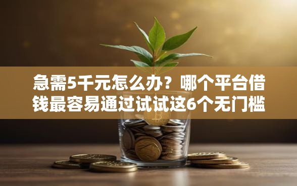 急需5千元怎么办？哪个平台借钱最容易通过试试这6个无门槛平台