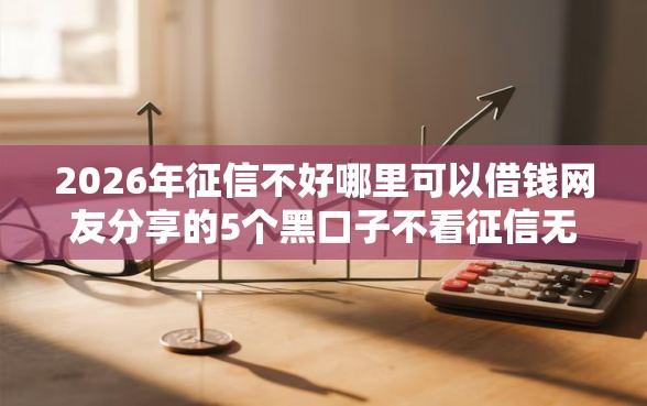 2026年征信不好哪里可以借钱网友分享的5个黑口子不看征信无视大数据我觉得不错！