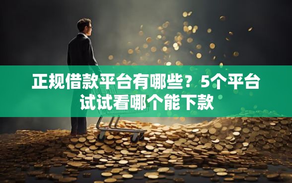正规借款平台有哪些？5个平台试试看哪个能下款