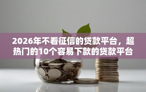 2026年不看征信的贷款平台，超热门的10个容易下款的贷款平台推荐
