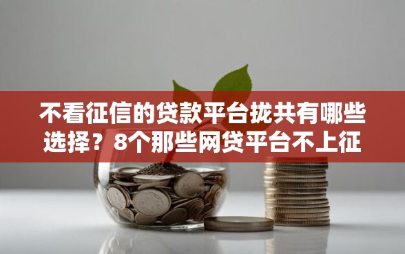 不看征信的贷款平台拢共有哪些选择？8个那些网贷平台不上征信详解