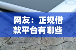 网友：正规借款平台有哪些？求介绍几款正规苹果id贷口子