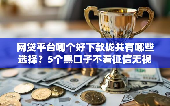 网贷平台哪个好下款拢共有哪些选择？5个黑口子不看征信无视大数据详解